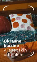 Cushions for autumn