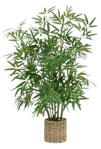 Premium Living Okrasna Rastlina Bamboo