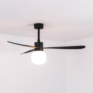 FARO BARCELONA LED stropni ventilator Amelia Ball L, črn, DC, tih, zatemnjen, Črna, Dnevna soba / jedilnica, Plastika, Sodobni