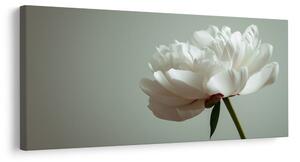 Slika cvetlična eleganca na beli