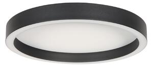 Steinhauer LED stropna svetilka Ringlux, črna, Ø 30 cm, kovina, 2700 K, zatemnjen, Črna, Dnevna soba / jedilnica, Kovina, Sodobni