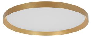 Steinhauer Stropna svetilka LED Flady, zlate barve, Ø 40 cm, neposredna/neposredna, zatemnjen, Zlata / medeninasta, Dnevna soba / jedilnica, Kovina