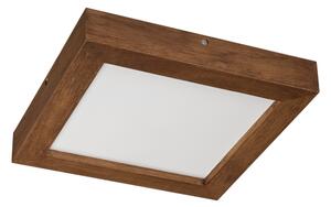 Brilagi-LED Zatemnitvena svetilka WOODY FRAME LED/24W/230V hrast 30x30 cm IP44 + Daljinski upravljalnik