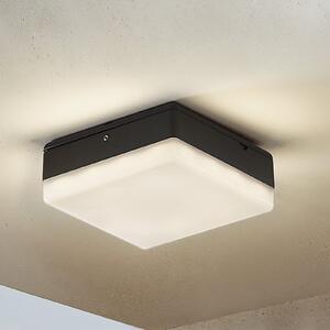 Lucande LED stropna svetilka Thilo, 16 cm, antracit, senzor, IP54, Črna, Plastika, Sodobni