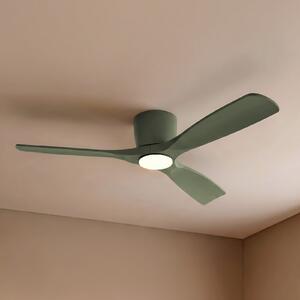 Lucande Smart LED stropni ventilator Moneno, zelen, DC, Tuya, zatemnjen, Zelena, Dnevna soba / jedilnica, Kovina, Sodobni