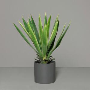 UMETNA RASTLINA 60 cm