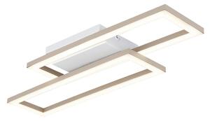 STROPNA LED-SVETILKA WILTON 3000/4000/6000 K 230 V