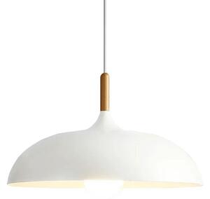 Stropna svetilka ANZO White