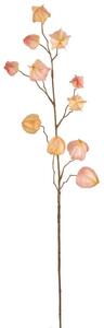 Mömax Umetna Rastlina Physalis I -Paz-