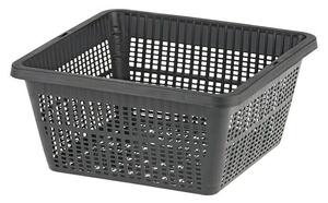 Oase Košara za rastline (Kvadratna, 19 cm, 3 l)
