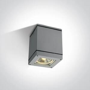STROPNA SVETILKA 1XE27 75W IP54 SIVA DM67132D/G