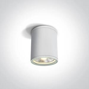 STROPNA SVETILKA 1×E27/75W/PAR30/230V IP54 BELA DM67132C/W