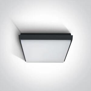 STROPNA SVETILKA LED/20W/1600lm/3000K/230V IP54 ANTRACITNA DM67362A/AN/W