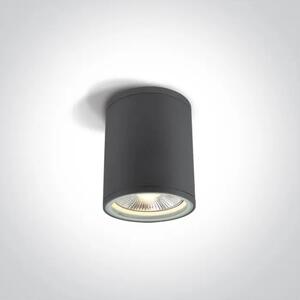 STROPNA SVETILKA 1×E27/75W/PAR30/230V IP54 ANTRACIT DM67132C/AN