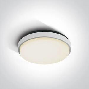 STROPNA SVETILKA LED/30W/2500lm/3000K/230V IP54 BELA DM67363/W/W