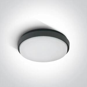 STROPNA SVETILKA LED/30W/2500lm/3000K/230V IP54 ANTRACITNA DM67363/AN/W