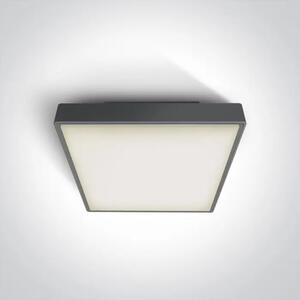 STROPNA SVETILKA LED 24W/1440lm/3000K/230V IP65 ANTRACIT DM67282AN/AN/W