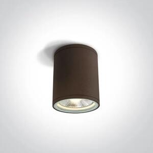 STROPNA SVETILKA 1XE27/75W/PAR30/230V IP54 RJAVA DM67132C/BR