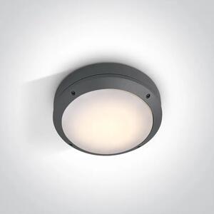 STROPNA SVETILKA LED E27/60W/220V IP54 ANTRACIT DM67204/AN