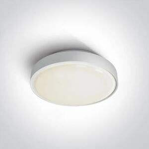 STROPNA SVETILKA LED 24W IP65 BELA DM67280AN/W/W