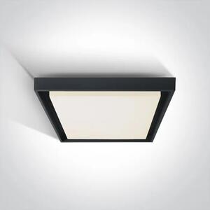 STROPNA SVETILKA LED 30W 2500lm IP54 ČRNA DM67384A/AN/W
