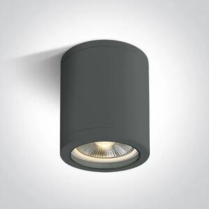 STROPNA SVETILKA E27 10W PAR30 IP65 ANTRACIT DM67142C/AN