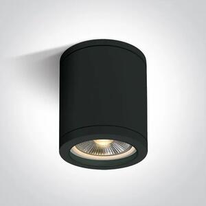 STROPNA SVETILKA E27 10W PAR30 IP65 ČRNA DM67142C/B