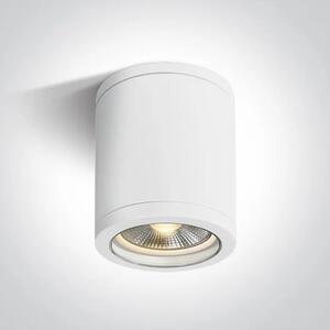 STROPNA SVETILKA 1XE27 10W PAR30 IP65 BELA DM67142C/W