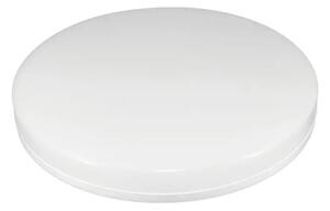 407-101 LED STROPNA SVETILKA 15W/4000K/200lm/IP54 3858890444636