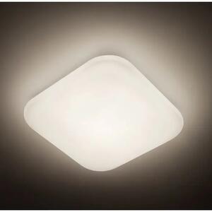 VIJOLIČASTA LED STROPNA SVETILKA 4000K 17W BELA 31110/31/P3