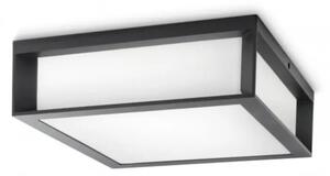 Skies ZUNANJA STENSKA SVETILKA antracit 2x14W 230V 8719514385320