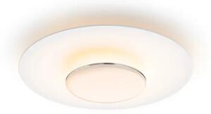 Stropna svetilka Garnet CL580 PHILIPS, nerjaveče jeklo, 40W, 27K, IP20 8720169195257
