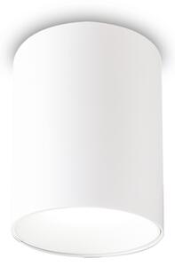 NITRO LED STROPNA SVETILKA PL OKROGLA D08 BELA ID205991