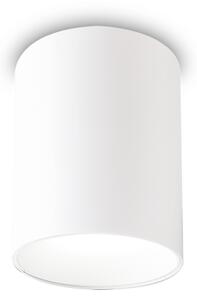 NITRO LED STROPNA SVETILKA PL OKROGLA D09 BELA ID205977