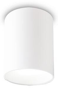 NITRO LED STROPNA SVETILKA OKROGLA D10 BELA ID319568