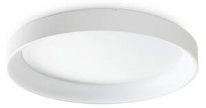ZIGGY LED STROPNA SVETILKA PL D080 BELA ID317908