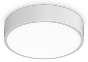 STROPNA SVETILKA RAY LED PL D30 BELA IP44 ID327570