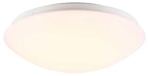 ASK 28 STROPNA SVETILKA BELA LED IP44 45356001