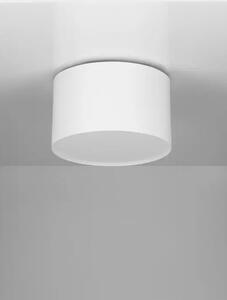 STROPNA SVETILKA LULDO LED/3000K/10W/588Lm/BELA NL9030725