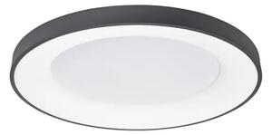 RANDO TANKA STROPNA SVETILKA LED 50W/3000K/2864lm/DIMM/IP20/ ČRNA NL9353853