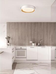 STROPNA SVETILKA LED 50W/3000K/3166lm\\\\\\\\\\\\\\\\\\\\\\\\\\\\\\\\ DIMM NL9345528