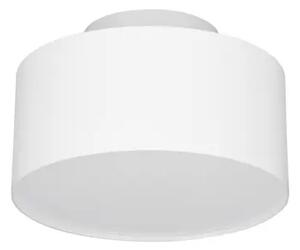 STROPNA SVETILKA OZEN LED/3000K/24W/1393Lm/BELA NL9030735