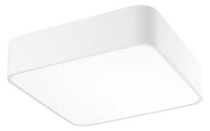 STROPNA SVETILKA RAGU E27 IP20/MAT BELA NL866601
