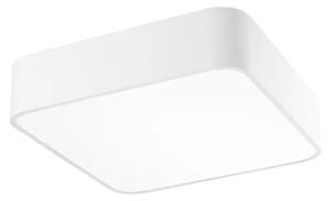 STROPNA SVETILKA RAGU E27 IP20/MAT BELA NL866605