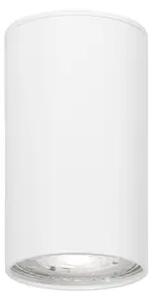 SPLOŠNA STROPNA SVETILKA BELA GU10 1x10 W IP20 AC 220-240 V NL9418425