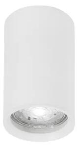 STROPNA SVETILKA MARUPE BELA GU10 1x10 W IP20 220-240 V NL834863