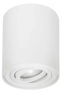 Stropna svetilka GOZZANO BELA GU10 1x10 W IP20 220-240 V NL820001