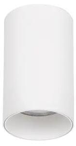 STROPNA SVETILKA LOYD BELA GU10 1x10 W IP20 AC 220-240 V NL9030414
