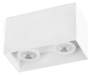 BELA STROPNA SVETILKA TECTO 2 X GU10 FR63272