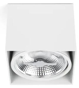 BELA STROPNA SVETILKA TECTO 1 X AR111 50W FR63274